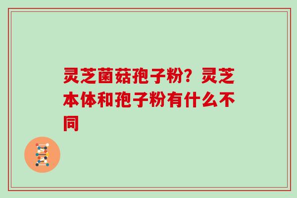 灵芝菌菇孢子粉？灵芝本体和孢子粉有什么不同