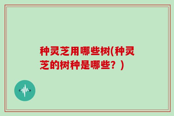 种灵芝用哪些树(种灵芝的树种是哪些？)
