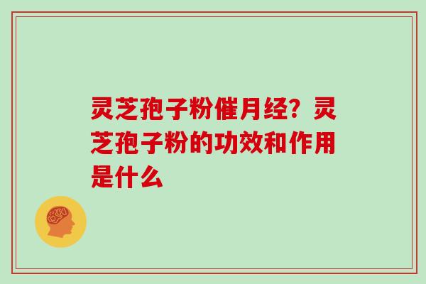 灵芝孢子粉催月经？灵芝孢子粉的功效和作用是什么