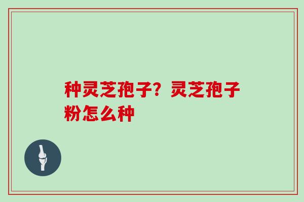 种灵芝孢子？灵芝孢子粉怎么种