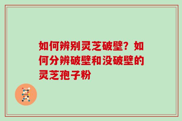 如何辨别灵芝破壁？如何分辨破壁和没破壁的灵芝孢子粉