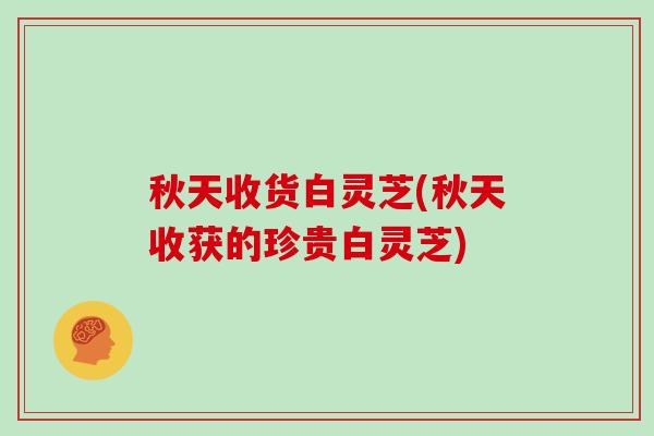 秋天收货白灵芝(秋天收获的珍贵白灵芝)