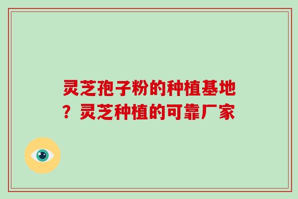 灵芝孢子粉的种植基地？灵芝种植的可靠厂家