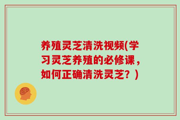 养殖灵芝清洗视频(学习灵芝养殖的必修课，如何正确清洗灵芝？)