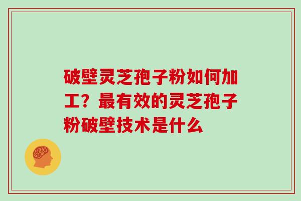 破壁灵芝孢子粉如何加工？最有效的灵芝孢子粉破壁技术是什么