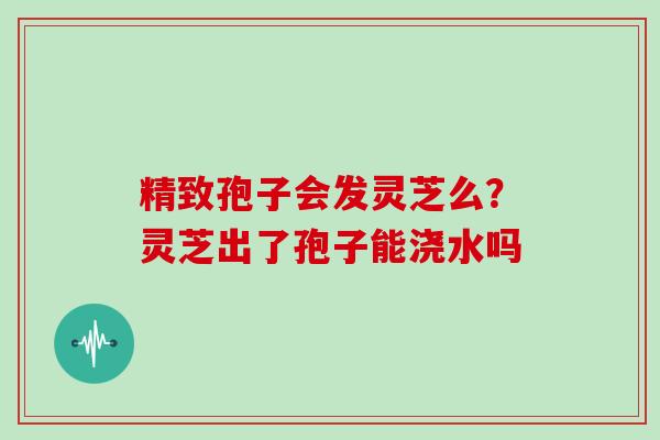 精致孢子会发灵芝么？灵芝出了孢子能浇水吗