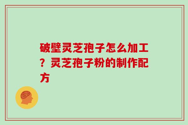 破壁灵芝孢子怎么加工？灵芝孢子粉的制作配方