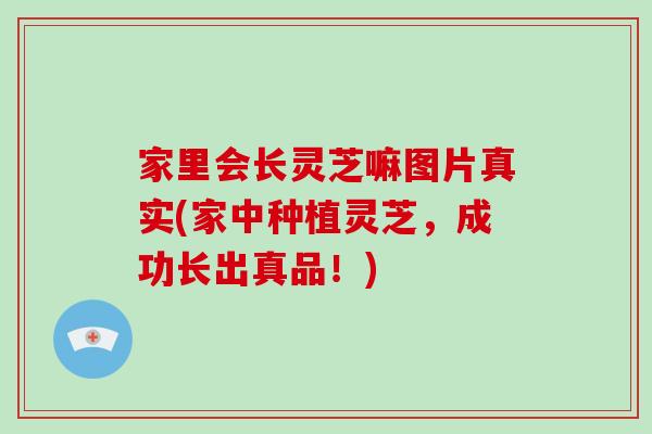 家里会长灵芝嘛图片真实(家中种植灵芝，成功长出真品！)