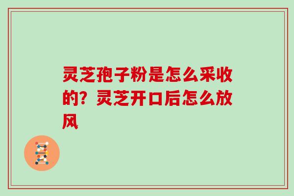 灵芝孢子粉是怎么采收的？灵芝开口后怎么放风