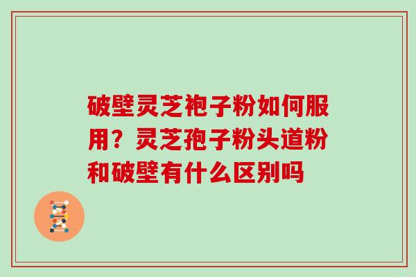 破壁灵芝袍子粉如何服用？灵芝孢子粉头道粉和破壁有什么区别吗