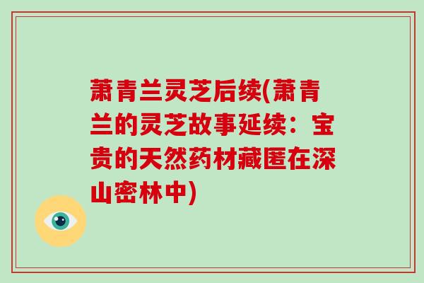 萧青兰灵芝后续(萧青兰的灵芝故事延续：宝贵的天然药材藏匿在深山密林中)
