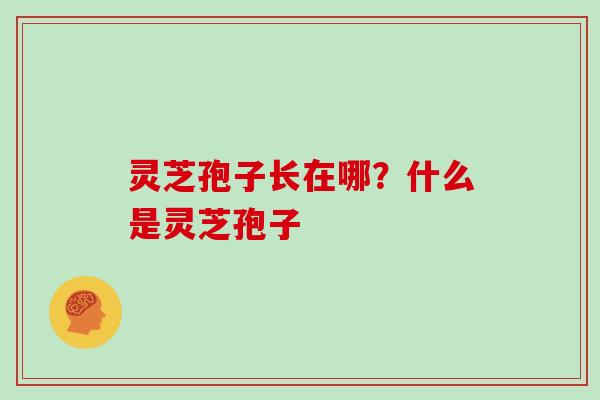 灵芝孢子长在哪？什么是灵芝孢子