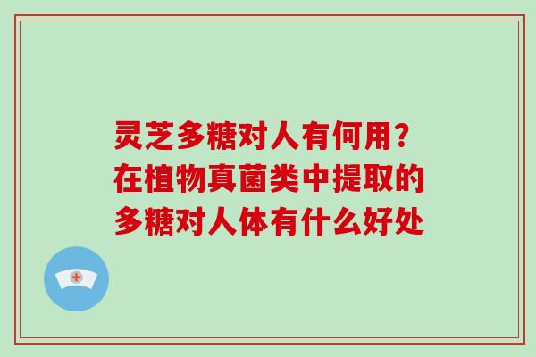 灵芝多糖对人有何用？在植物真菌类中提取的多糖对人体有什么好处