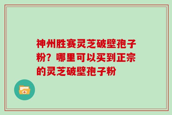 神州胜赛灵芝破壁孢子粉？哪里可以买到正宗的灵芝破壁孢子粉