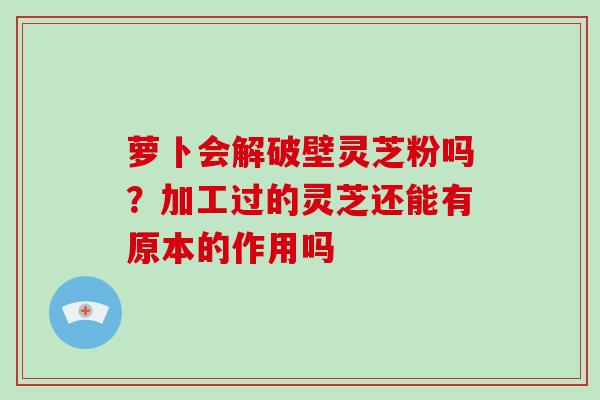 萝卜会解破壁灵芝粉吗？加工过的灵芝还能有原本的作用吗