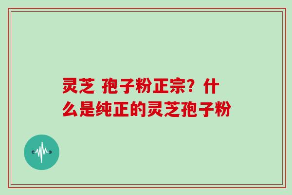 灵芝 孢子粉正宗？什么是纯正的灵芝孢子粉