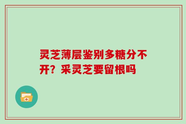 灵芝薄层鉴别多糖分不开？采灵芝要留根吗
