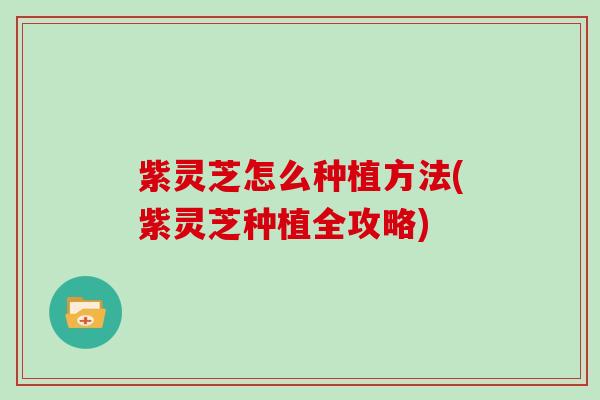 紫灵芝怎么种植方法(紫灵芝种植全攻略)