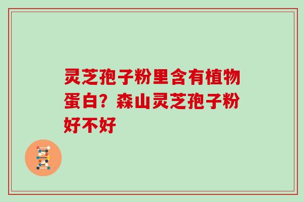 灵芝孢子粉里含有植物蛋白？森山灵芝孢子粉好不好