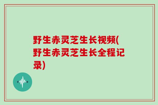 野生赤灵芝生长视频(野生赤灵芝生长全程记录)-第1张图片-灵芝大师 野生赤灵芝生长视频(野生赤灵芝生长全程记录)-第1张图片-灵芝大师