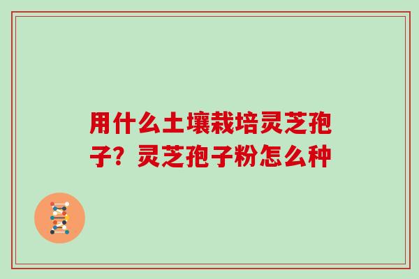 用什么土壤栽培灵芝孢子？灵芝孢子粉怎么种