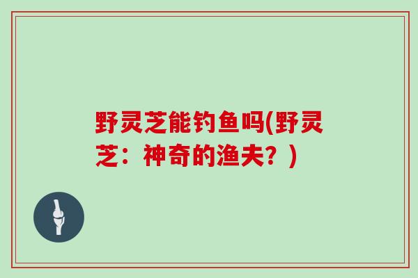 野灵芝能钓鱼吗(野灵芝：神奇的渔夫？)