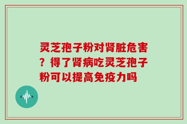 灵芝孢子粉对肾脏危害？得了肾病吃灵芝孢子粉可以提高免疫力吗