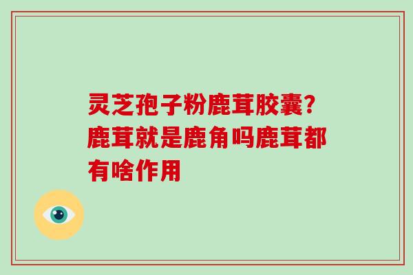 灵芝孢子粉鹿茸胶囊？鹿茸就是鹿角吗鹿茸都有啥作用