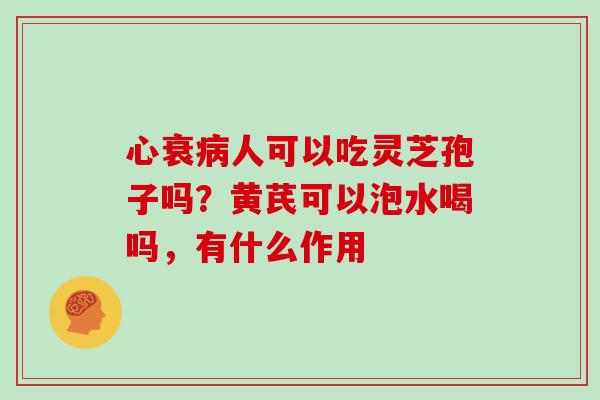心衰病人可以吃灵芝孢子吗？黄芪可以泡水喝吗，有什么作用