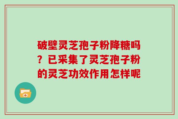 破壁灵芝孢子粉降糖吗？已采集了灵芝孢子粉的灵芝功效作用怎样呢