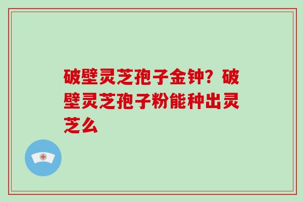 破壁灵芝孢子金钟？破壁灵芝孢子粉能种出灵芝么