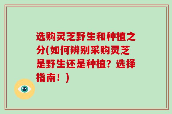 选购灵芝野生和种植之分(如何辨别采购灵芝是野生还是种植？选择指南！)