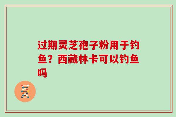 过期灵芝孢子粉用于钓鱼？西藏林卡可以钓鱼吗