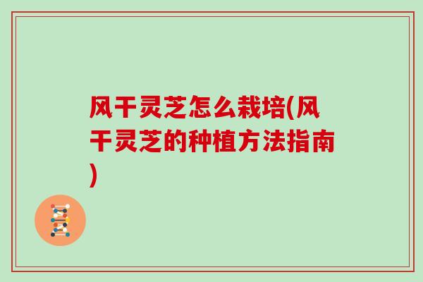 风干灵芝怎么栽培(风干灵芝的种植方法指南)