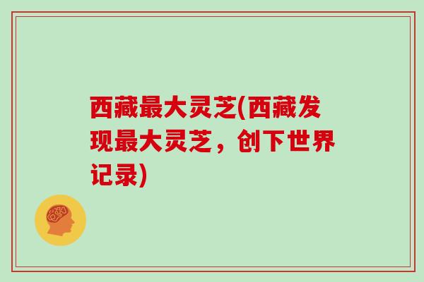 西藏最大灵芝(西藏发现最大灵芝，创下世界记录)