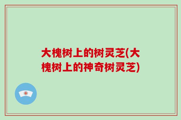 大槐树上的树灵芝(大槐树上的神奇树灵芝)-第1张图片-灵芝大师