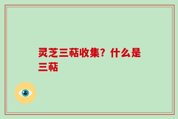 灵芝三萜收集？什么是三萜