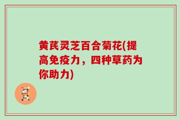 黄芪灵芝百合菊花(提高免疫力，四种草药为你助力)