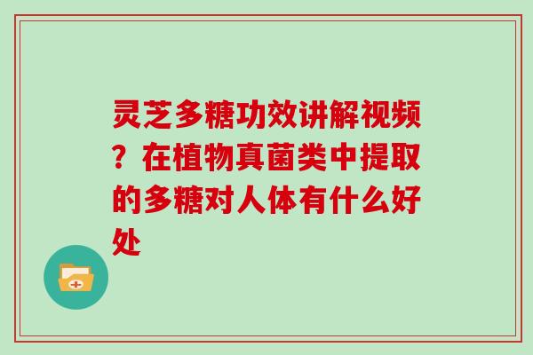 灵芝多糖功效讲解视频?在植物真菌类中提取的多糖对人体有什么好处-第1张图片-灵芝大师 灵芝多糖功效讲解视频?在植物真菌类中提取的多糖对人体有什么好处-第1张图片-灵芝大师
