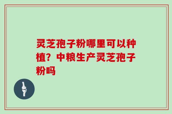 灵芝孢子粉哪里可以种植？中粮生产灵芝孢子粉吗