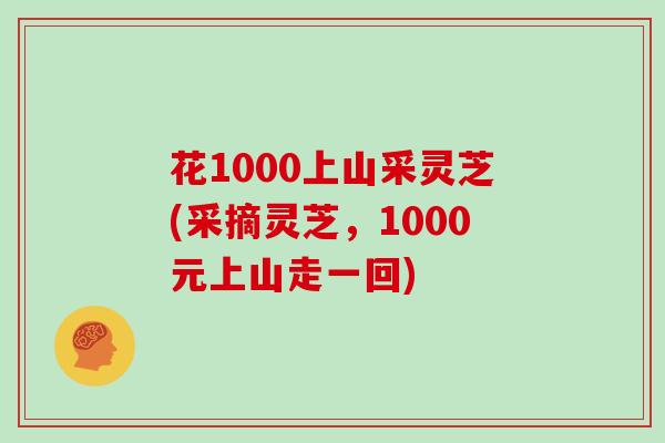 花1000上山采灵芝(采摘灵芝,1000元上山走一回)-第1张图片-灵芝大师 花1000上山采灵芝(采摘灵芝,1000元上山走一回)-第1张图片-灵芝大师