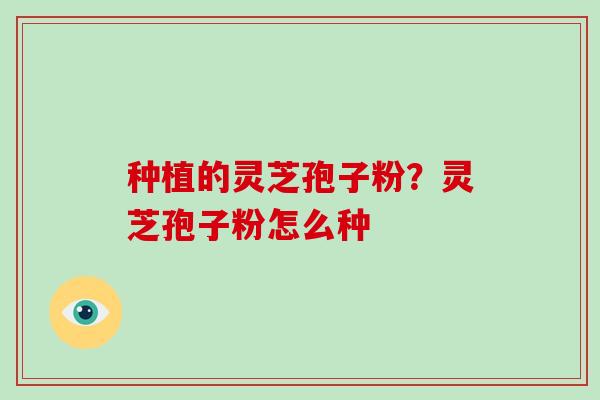 种植的灵芝孢子粉？灵芝孢子粉怎么种