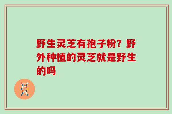 野生灵芝有孢子粉?野外种植的灵芝就是野生的吗-第1张图片-灵芝大师 野生灵芝有孢子粉?野外种植的灵芝就是野生的吗-第1张图片-灵芝大师
