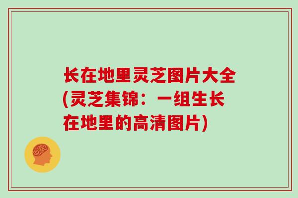 长在地里灵芝图片大全(灵芝集锦：一组生长在地里的高清图片)