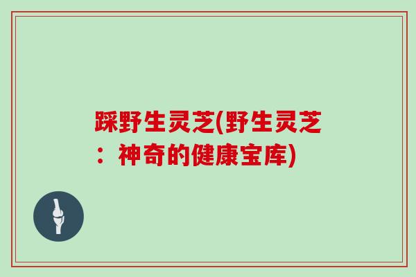 踩野生灵芝(野生灵芝：神奇的健康宝库)