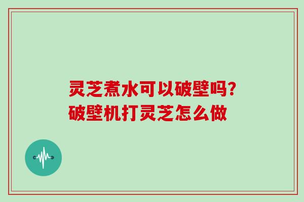 灵芝煮水可以破壁吗？破壁机打灵芝怎么做