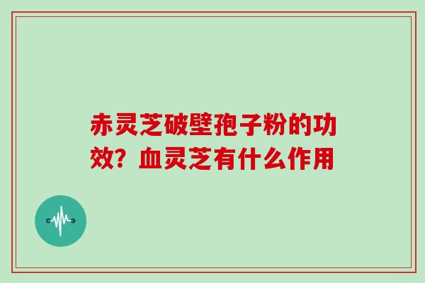赤灵芝破壁孢子粉的功效？血灵芝有什么作用