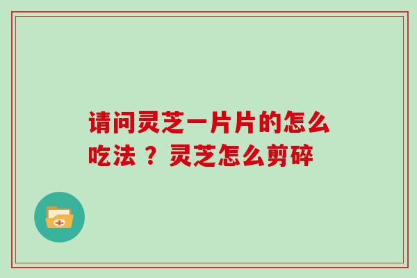 请问灵芝一片片的怎么吃法 ？灵芝怎么剪碎