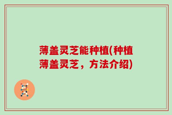 薄盖灵芝能种植(种植薄盖灵芝，方法介绍)