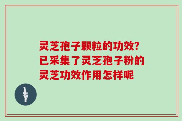 灵芝孢子颗粒的功效？已采集了灵芝孢子粉的灵芝功效作用怎样呢